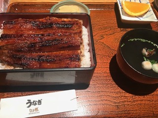 IMG_1329.jpg