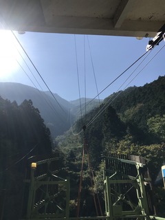 IMG_1411.jpg
