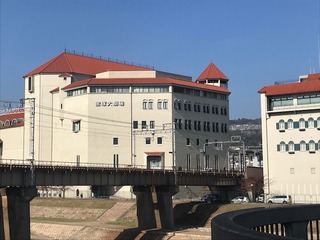 IMG_2768.jpg
