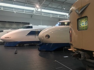 IMG_4288.jpg