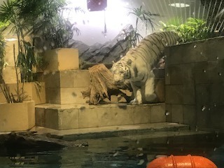 IMG_8787.jpg