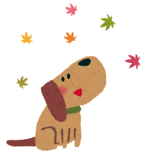 kouyou_dog.png