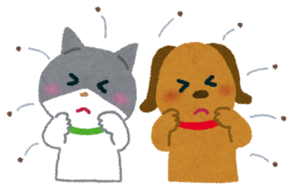 mushi_pet_nomi.png