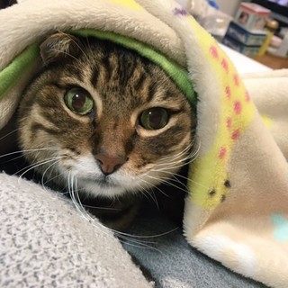 thumbnail_IMG_3284.jpg